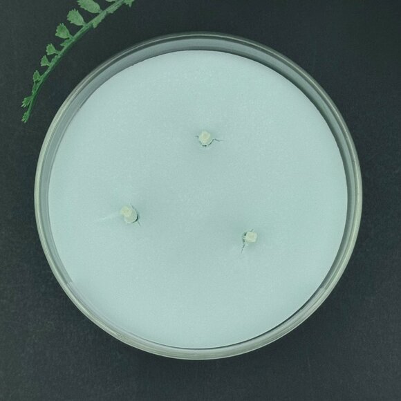 BBW The Perfect Winter Bath & Body Works 3 Wick Candle - Picture 7 of 10